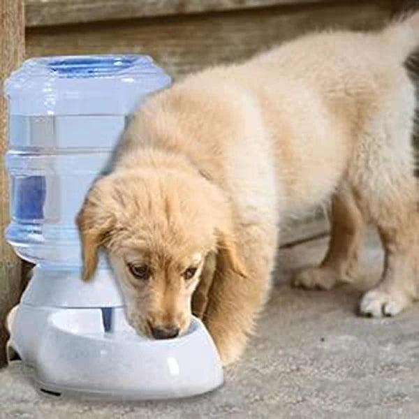 Automatic Pet Water Dispenser for Dog Cat Puppy, Cat/Dog Feeder (CLS-2389686)