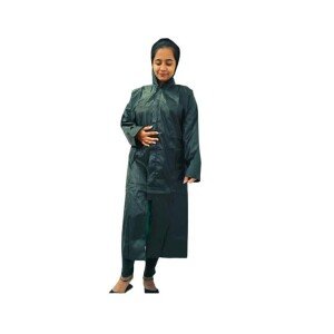 Steamer Iron Portable Garment Hand Steamer for Clothes (CLS-2389665)