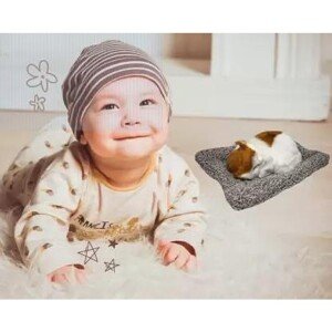 Sleeping Soft Showpiece Realistic Cat Figurine Activated Organic Carbon Decorative- 11 cm (Fiber, Brown) (CLS-2389094)